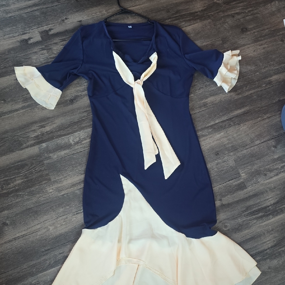 Elegant Navy and Cream Dress